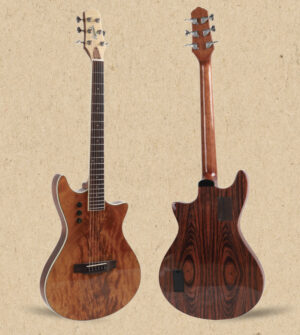 Dmeartin DS-03 Traditional Acoustic Guitar—Maple Top and Mahogany Body
